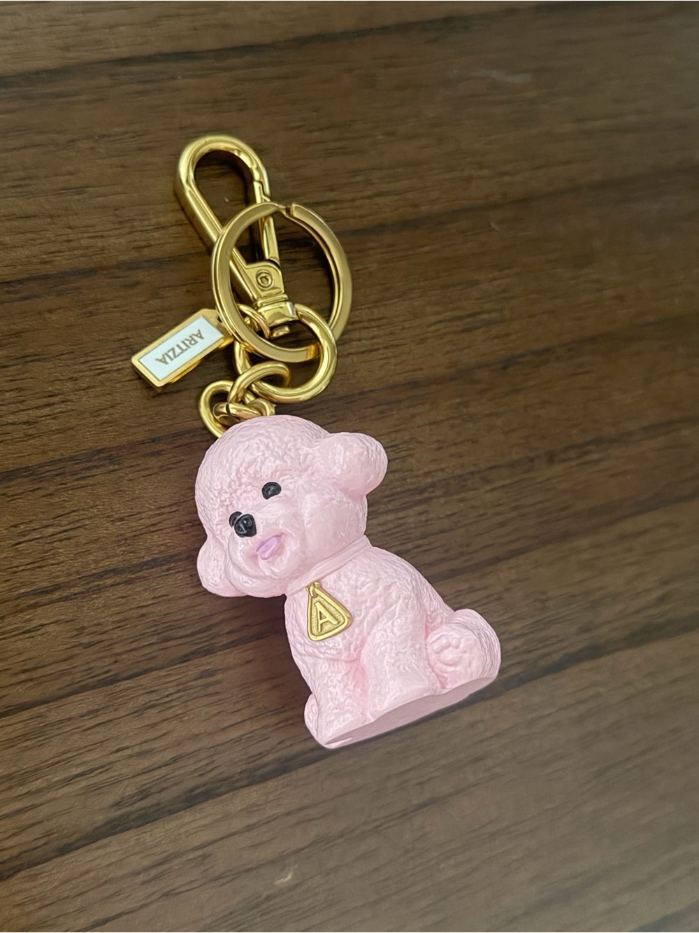 Aritzia Bijou Bag Charm in Pink with Gold Hardware